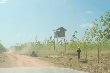 Các đơn vị Tây Nguyên: Đón Tết ngoài vườn cây